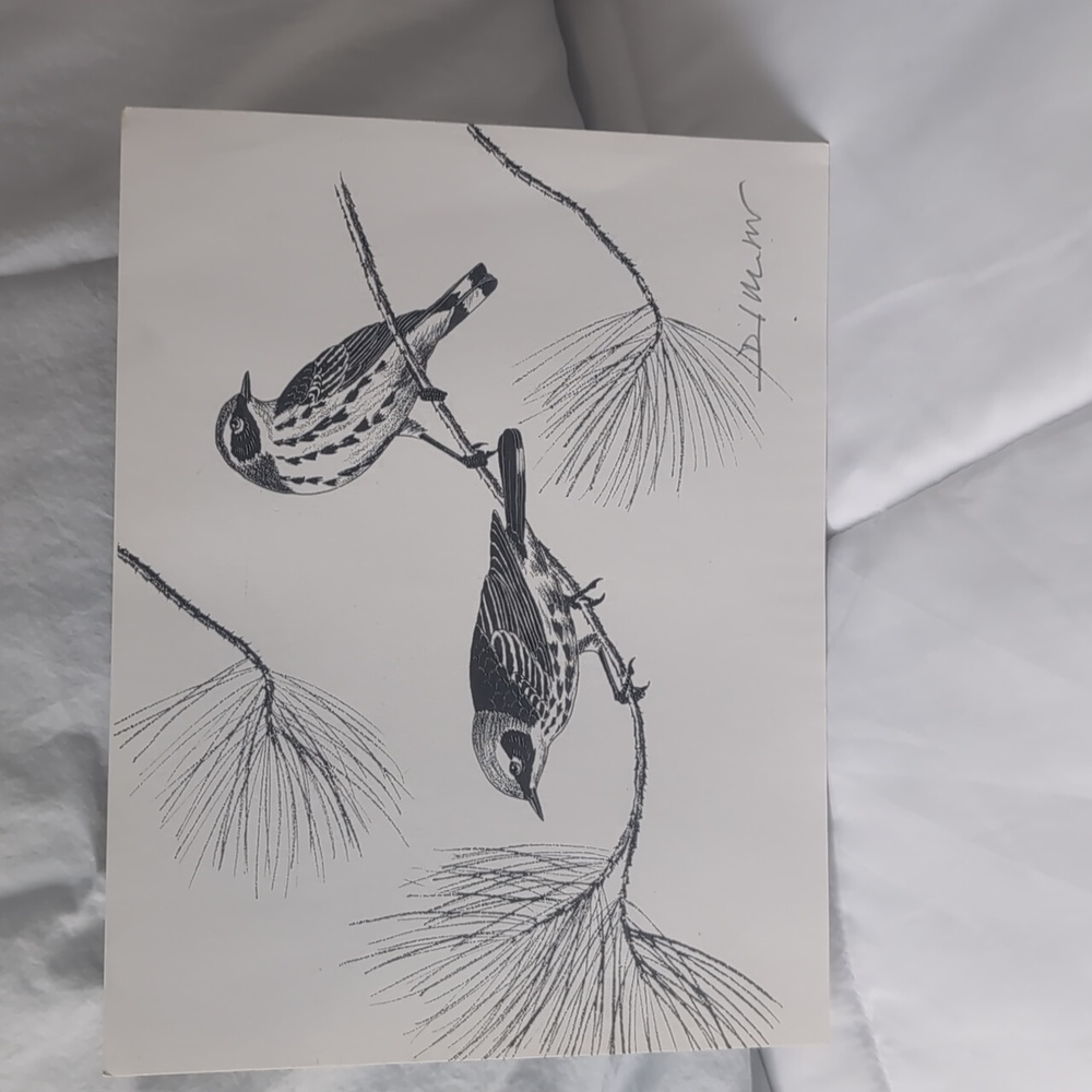 Original art birds